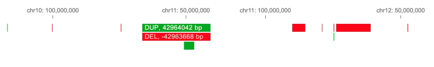 Structural variants